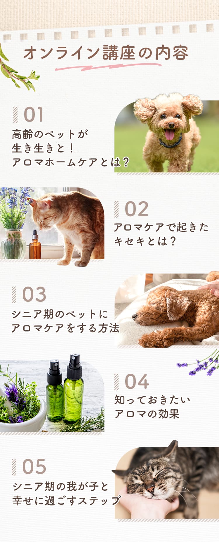 オンライン講座の内容