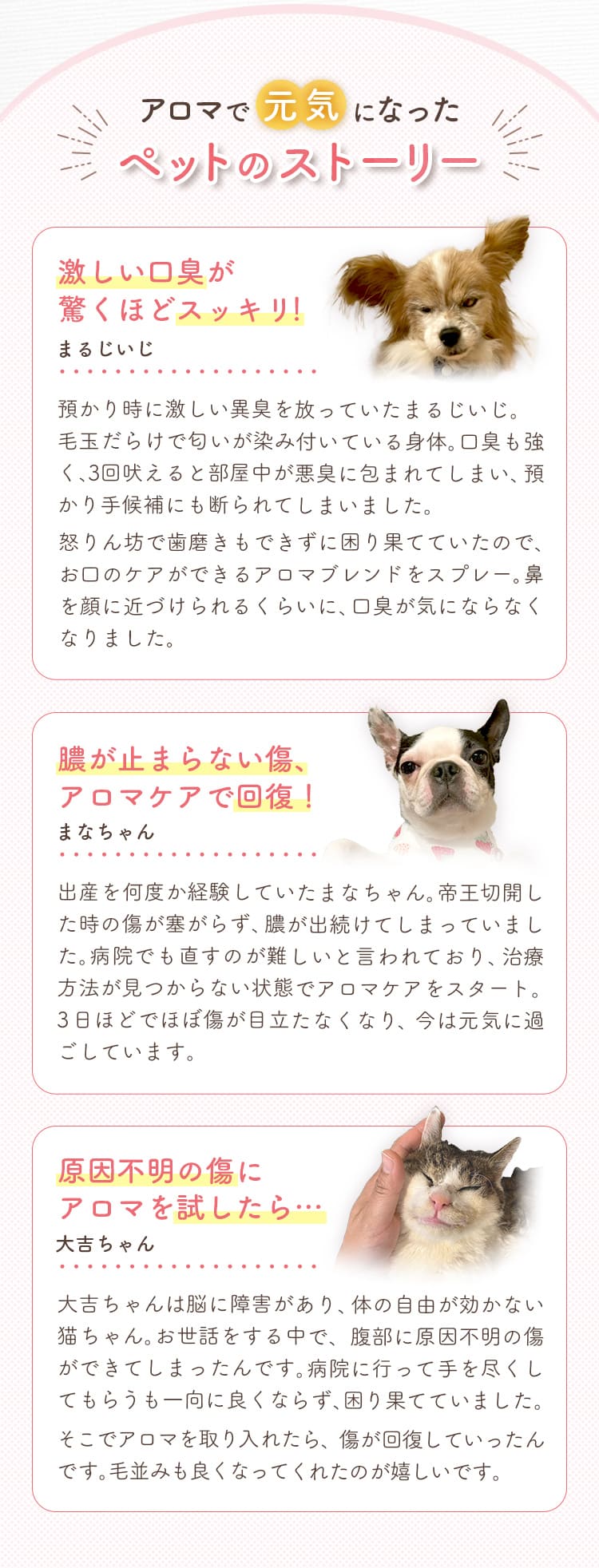 ペットのストーリー